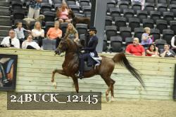 24BUCK_12145 thumbnail