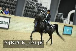 24BUCK_12146 thumbnail