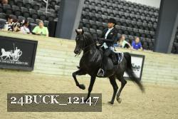 24BUCK_12147 thumbnail