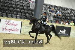 24BUCK_12148 thumbnail