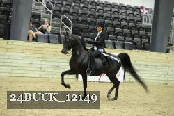 24BUCK_12149 thumbnail