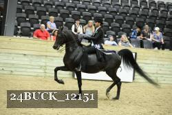 24BUCK_12151 thumbnail