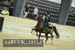 24BUCK_12154 thumbnail