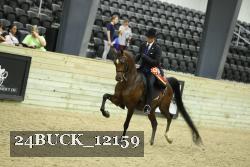 24BUCK_12159 thumbnail
