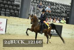 24BUCK_12160 thumbnail