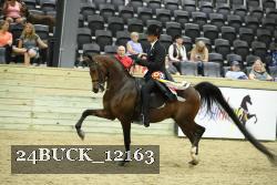 24BUCK_12163 thumbnail