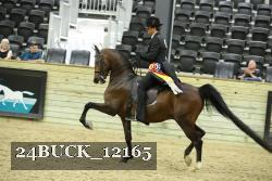24BUCK_12165 thumbnail