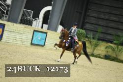 24BUCK_12173 thumbnail