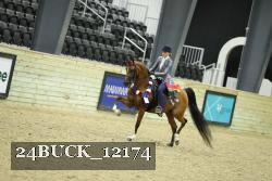 24BUCK_12174 thumbnail
