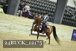 24BUCK_12175 thumbnail