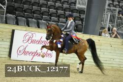 24BUCK_12177 thumbnail