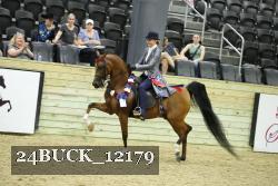 24BUCK_12179 thumbnail