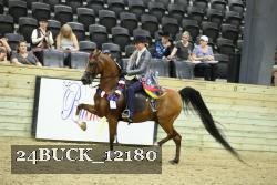 24BUCK_12180 thumbnail