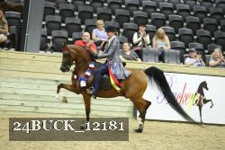 24BUCK_12181 thumbnail