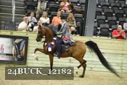 24BUCK_12182 thumbnail