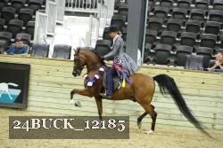 24BUCK_12185 thumbnail