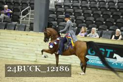 24BUCK_12186 thumbnail