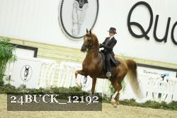 24BUCK_12192 thumbnail