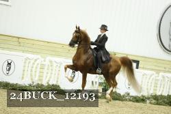 24BUCK_12193 thumbnail