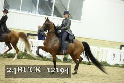 24BUCK_12194 thumbnail