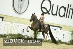 24BUCK_12195 thumbnail