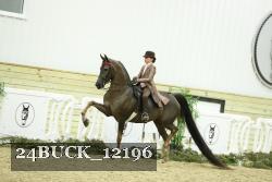 24BUCK_12196 thumbnail