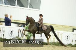 24BUCK_12197 thumbnail