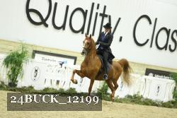 24BUCK_12199 thumbnail