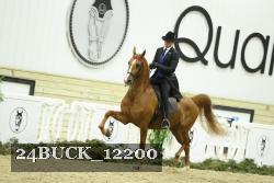 24BUCK_12200 thumbnail