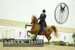 24BUCK_12201 thumbnail