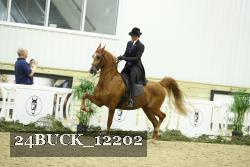 24BUCK_12202 thumbnail