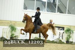 24BUCK_12203 thumbnail