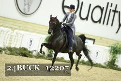 24BUCK_12207 thumbnail