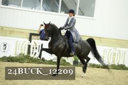 24BUCK_12209 thumbnail