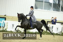 24BUCK_12210 thumbnail