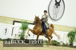 24BUCK_12211 thumbnail