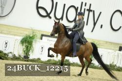 24BUCK_12215 thumbnail