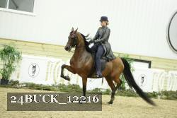 24BUCK_12216 thumbnail