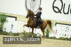 24BUCK_12218 thumbnail