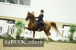 24BUCK_12219 thumbnail