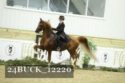 24BUCK_12220 thumbnail