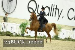 24BUCK_12222 thumbnail