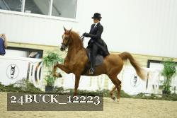 24BUCK_12223 thumbnail