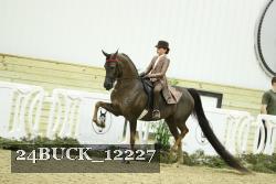 24BUCK_12227 thumbnail