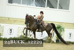 24BUCK_12229 thumbnail