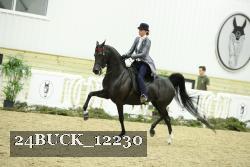 24BUCK_12230 thumbnail