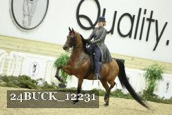 24BUCK_12231 thumbnail