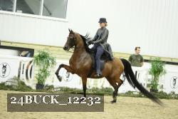 24BUCK_12232 thumbnail