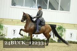 24BUCK_12233 thumbnail