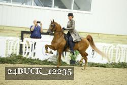 24BUCK_12235 thumbnail